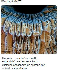 imagem microscopica