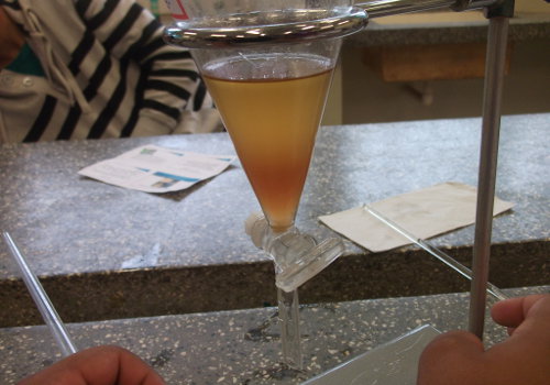 Imagem do desenvolvimento do experimento.