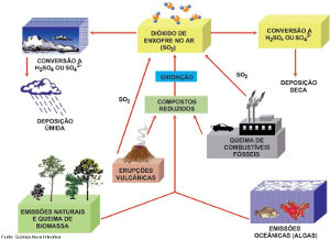 Imagem Ciclo Enxofre