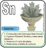 Estanho - Imagem do smbolo qumico do Estanho - Stannun (Sn) e suas aplicaes. O Sn tem nmero atmico (Z) = 50 e Massa Atmica (A) = 119, est localizado na grupo 14 ou famlia 4A e no 5 perodo da tabela peridica dos elementos qumicos, sua distribuio eletrnica  K2 L8 M18 N18 O4. <br/><br/> Palavras-chave: Estanho. Smbolos qumicos. Tabela peridica.