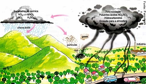 Aula 6 - Ações mitigatórias da interferência humana nos ciclos  biogeoquímicos - Biologia