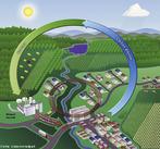 No planeta Terra o carbono circula atravs dos oceanos, da atmosfera, da terra e do seu interior, num grande ciclo biogeoqumico. <br /><br /> Palavras-chave: Ciclo biogeoqumico. Elementos qumicos. Meio ambiente.