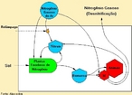 Esquema que mostra o ciclo do nitrognio na natureza. <br /><br /> Palavras-chave: Ciclo do nitrognio. Ciclo biogeoqumico. Nitrognio. 