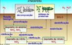 O ciclo do nitrognio ou ciclo do azoto  o ciclo biogeoqumico que comporta as diversas transformaes que este elemento sofre no seu ciclo entre o reino mineral e os seres vivos. <br /><br /> Palavras-chave: Ciclo do nitrognio. Ciclo biogeoqumico. Substncias qumicas na natureza.