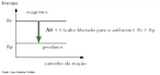 Imagem retirada do livro didtico pblico, mostrando um grfico de reao exotrmica em que os reagentes liberam calor para o ambiente, dando a sensao de quente. <br /><br /> Palavras-chave: Reao exotrmica. Reaes qumicas. Variao de entalpia.