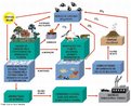 Ciclo do Carbono