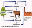 O ciclo do oxignio   o movimento do oxignio entre os seus trs reservatrios principais: a atmosfera (os gases que rodeiam a superfcie da terra), a biosfera (os organismos vivos e o seu ambiente prximo) e a litosfera (a parte slida exterior da terra). Este ciclo  mantido por processos geolgicos, fsicos, hidrolgicos e biolgicos, que movem diferentes elementos de um depsito a outro. O oxignio molecular (O2) compe cerca de 21% da atmosfera terrestre. Este oxignio satisfaz as necessidades de todos os organismos terrestres que o respiram no seu metabolismo. O principal fator na produo de oxignio  a fotossntese, que regula a relao gs carbnico/gs oxignio na atmosfera. O oxignio  o elemento mais abundante em massa na crosta terrestre e nos oceanos e o segundo na atmosfera. <br/><br/> Palavras-chave: Ciclo do oxignio. Ciclo biogeoqumico. Substncias qumicas na natureza. 