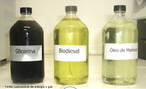 Frascos com leo de mamona que  utilizado na fabricao do biodiesel e a glicerina, que  um sub-produto do biodiesel. <br/><br/> Palavras-chave: Biodiesel. Petrleo. Glicerina. Funes orgnicas
