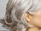 Uma pesquisa de trs universidades europeias descobriu o que os cientistas acreditam ser a causa dos cabelos grisalhos. "Todas as nossas clulas capilares fabricam um pouquinho de perxido de hidrognio, mas,  medida que envelhecemos, este pouquinho se transforma em muito. Ns clareamos o pigmento de nosso cabelo de dentro para fora e nosso cabelo fica cinza e, ento, branco",disse Gerald Weissman, editor chefe da revista Faseb.  <br/><br/> Palavras-chave: Perxido de hidrognio. Concentrao. Reaes qumicas.