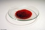 Ferricianeto de potssio ou hexacianoferrato(III) de potssio  o composto qumico com a frmula K3[Fe(CN)6]. Este sal vermelho brilhante consiste de um composto de coordenao [Fe(CN)6]3−.[2].  solvel em gua e sua soluo apresenta um cor verde amarelada fluorescente. <br/><br/> Palavras-chave: Ferricianeto de potssio. Sais. Qumica inorgnica. Substncias qumicas.