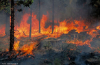 Incndio na floresta mostra um fenmeno qumico e a liberao de poluentes na atmosfera. <br/><br/> Palavras-chave: Gases, fenmeno qumico, poluio atmosfrica, meio ambiente.