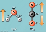 Representao das molculas de gua e gs carbnico com os respectivos dipolos. <br/><br/> Palavras-chave: Ligaes qumicas. Dipolo. gua. Gs carbnico.