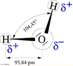 Molcula de gua