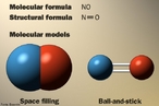 Imagem que apresenta a frmula molecular, a frmula estrutural e a representao dos modelos moleculares do xido ntrico. O xido ntrico (tambm conhecido por monxido de nitrognio e monxido de azoto), de frmula qumica NO,  um gs solvel, altamente lipoflico sintetizado pelas clulas endoteliais, macrfagos e certo grupo de neurnios do crebro. <br/><br/> Palavras-chave: xido ntrico. Substncia. Ligaes qumicas. Modelos moleculares.