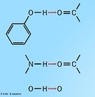 Ilustrao que mostra trs molculas com pontes de hidrognio. So as interaes intermoleculares mais intensas, medidas tanto sob o ponto de vista energtico quanto sob o ponto de vista de distncias interatmicas. <br/><br/> Palavras-chave: Ponte de hidrognio. Ligaes qumicas. Solues.