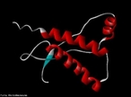 Representao tridimensional de Prons, que no so vrus, nem bactrias, so modificaes de protenas normais do corpo. Um pron (portugus brasileiro) ou prio (portugus europeu)  um agregado supramolecular acelular, composto por protenas com capacidade de modificar outras protenas, tornando-as cpias das protenas que o compem. Um pron no possui cido nucleico (DNA ou RNA). So conhecidos treze tipos de prons, dos quais trs atacam fungos e dez afetam mamferos; dentre estes, sete tm por alvo a espcie humana. Embora em sua forma normal essas protenas sejam inofensivas, o acmulo da forma modificada pode levar  morte de neurnios. A maioria das doenas causadas por prons aparece na idade adulta. A faixa etria exata varia de acordo com o tempo de incubao de cada doena e sua causa. Todas as doenas causadas por prons so muito raras, como: Encefalopatias Espongiformes Transmissveis (protenas de pron, PPr); Scrapie; Doena de Creutzfeldt-Jakob (DCJ); Kuru; Encefalopatia Espongiforme Bovina (BSE) ou Mal da Vaca-Louca; Sndrome de Gerstmann-Strussler-Scheinker; Insnia Familiar Fatal. <br/><br/> Palavras-chave: Pron. Protenas. Bioqumica. Doenas causadas por pron.