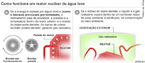 Imagem de um infogrfico mostrando o funcionamento de um reator nuclear de uma usina nuclear. <br/><br/> Palavras-chave: Energia nuclear. Usina nuclear. Reator nuclear. Radioatividade.