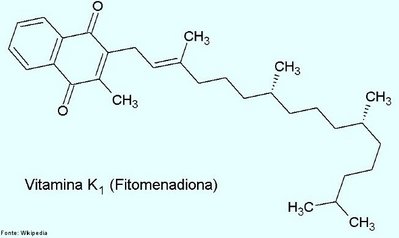 A vitamina K surge sob várias formas. A vitamina K1 (filoquinona, fitonadiona) encontra-se principalmente nos vegetais. A vitamina K2 (menaquinona), a qual tem cerca de 75% da força da vitamina K1, é sintetizada por bactérias no trato intestinal dos seres humanos e de vários animais. A vitamina K3 (menadiona) é um composto sintético que pode ser convertido em K2 no tracto intestinal.
Principais fontes na natureza
As melhores fontes de vitamina K na dieta são os vegetais de folhas verdes, tais como folhas de nabo, espinafres, brócolos, couve e alface. Outras fontes ricas, são as sementes de soja, fígado de vaca e chá verde. Boas fontes incluem a gema de ovo, aveia, trigo integral, batatas, tomates, espargos, manteiga e queijo. São encontrados níveis menores na carne de vaca, de porco, presunto, leite, cenouras, milho, na maioria dos frutos e em muitos outros vegetais.

Como uma fonte importante de vitamina K2, temos a flora bacteriana do jejuno e do íleo. Não é no entanto clara a extensão da utilização das menaquinonas sintetizadas pelos microrganismos das vísceras.
<br/><br/>
Palavras-chave: Vitamina K1. Filoquinona. Vitaminas. Química orgânica. Bioquímica.