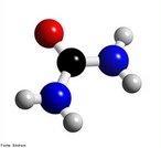 Representao tridimensional da molcula de ureia, um composto orgnico cristalino, incolor, de frmula CO(NH2)2 (ou CH4N2O), com um ponto de fuso de 132,7 C. Txica, a ureia forma-se principalmente no fgado, sendo filtrada pelos rins e eliminada na urina ou pelo suor, onde  encontrada abundantemente; constitui o principal produto terminal do metabolismo proteico no ser humano e nos demais mamferos. <br/><br/> Palavras-chave: Ureia. Composto orgnico. Funes orgnicas.