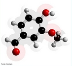 Segundo os químicos Bucholz e Vogel, a vagem da baunilha preparada artificialmente contém um óleo grosso, de sabor desagradável, amargo, de substância amigdaloide e ácido benzoico. Molécula em 3D. <br/><br/> Palavras-chave: Vanilina. Baunilha. Ácido benzoico.