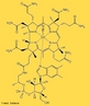 A cobalamina (ou cianocobalamina), tambm  conhecida como vitamina B12. Nome IUPAC (sistemtica) α-(5,6-dimetilbenzimidazolil) cianocobalamina. <br/><br/> Palavras-chave: Vitamina B12. Cobalamina.