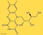 A riboflavina (ou vitamina B2; antigamente designada tambm por vitamina G; nome sistemtico 7,8-dimetil-10-ribitil-isoaloxazina[1])  um composto orgnico (flavina) da classe das vitaminas. <br/><br/> Palavras-chave: Vitamina B2. Riboflavina. Vitamina G.