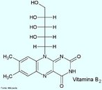 Essa vitamina participa do crescimento e da reproduo e contribui para a cicatrizao de feridas na boca, lbios e lngua.  indicada em casos de depresso e na acne roscea. Considerando uma mulher adulta, a recomendao  de 1,2 a 1,6mg de vitamina B2 diariamente e suas fontes principais so: algumas vsceras de boi como fgado, rins e corao, o iogurte  uma boa fonte, brcolis, amndoa, levedura de cerveja, queijo, arroz selvagem e soja. <br/><br/> Palavras-chave: Vitamina B2. Riboflavina. Vitaminas. Qumica orgnica. Bioqumica.