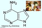 A Vitamina B4 ou adenina  uma purina que possui uma grande variedade de papeis em bioqumica participando da respirao celular, na forma de adenosina trifosfato (ATP), dinucleotdeo nicotinamida-adenina (NAD) e dinucleotdeo flavina-adenina (FAD). Na sntese de protenas participa como um componente qumico do DNA e RNA. <br/><br/> Palavras-chave: Vitamina B4. Adenina. Vitaminas. Qumica orgnica. Bioqumica.