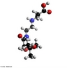 Representao de uma molcula de cido pantotnico - vitamina B5. A vitamina B5 ou cido Pantotnico  indicada para problemas como osteoartrites, artrite reumatoide, anemia, estresse, eczema e aterosclerose. <br/><br/> Palavras-chave: cido pantotnico. Vitamina B5.