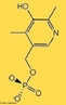 A piridoxina (tambm conhecida como vitamina B6) favorece a respirao das clulas e ajuda no metabolismo das protenas. <br/><br/> Palavras-chave: Vitamina B6. Piridoxina. Metabolismo das protenas. 