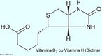 A biotina, tambm conhecida como vitamina H, vitamina B7 ou vitamina B8,  uma molcula da classe das vitaminas que funciona como cofactor enzimtico. Funciona no metabolismo das protenas e dos carboidratos. Ela age diretamente na formao da pele e indiretamente na utilizao dos hidratos de carbono (acares e amido) e das protenas. Tem como principal funo neutralizar o colesterol (diretamente ligado  obesidade).  uma vitamina hidrossolvel. <br/><br/> Palavras-chave: Vitamina B7. Biotina. Vitamina H. Vitaminas. Qumica orgnica. Bioqumica.