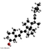 A vitamina D (ou calciferol)  uma vitamina que promove a absoro de clcio (aps a exposio  luz solar), essencial para o desenvolvimento normal dos ossos e dentes. <br/><br/> Palavras-chave: Vitamina D. Calciferol. Vitamina do sol. Clcio.