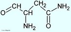 A asparagina, o amido-beta derivado do ácido aspártico, é considerado um aminoácido não-essencial. Possui uma função importante na bio síntese de glicoproteínas e é também essencial na síntese de um grande número de outras proteínas. A asparagina representa cerca de 3% dos aminoácidos das proteínas do organismo humano. <br/><br/> Palavras-chave: Asparagina. Aminoácidos. Química orgânica. Bioquímica.