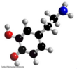 Estrutura da molcula de dopamina. A dopamina  um composto orgnico de funo mista lcool, fenol  e amina que apresenta frmulas molecular C8H11NO2. A dopamina  um neurotransmissor e sua funo  estimulante e est relacionada ao controle dos movimentos,  sensao de prazer, movimento, memria, recompensa agradvel, comportamento e cognio, ateno, inibio de produo do prolactin, sono, humor, aprendizagem. O excesso e a deficincia deste produto qumico vital so a causa de diversas condies da doena. A doena e a toxicodependncia de Parkinson so alguns dos exemplos dos problemas associados com os nveis anormais da dopamina. Pela nomenclatura IUPAC  conhecido como 3,4-dihidroxi-feniletilamina ou 2-(3,4-dihidroxifenil)etilamina. <br><br> Palavras-chave: Drogas. Dopamina. Funes Qumicas. Molcula.