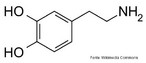 Representao da molcula de dopamina. A dopamina  um composto orgnico de funo mista lcool, fenol e amina que apresenta frmulas molecular C8H11NO2. A dopamina  um neurotransmissor e sua funo  estimulante e est relacionada ao controle dos movimentos,  sensao de prazer, movimento, memria, recompensa agradvel, comportamento e cognio, ateno, inibio de produo do prolactin, sono, humor, aprendizagem. O excesso e a deficincia deste produto qumico vital so a causa de diversas condies da doena. A doena e a toxicodependncia de Parkinson so alguns dos exemplos dos problemas associados com os nveis anormais da dopamina. Pela nomenclatura IUPAC  conhecido como 3,4-dihidroxi-feniletilamina ou 2-(3,4-dihidroxifenil)etilamina. <br><br> Palavras-chave: Drogas. Dopamina. Funes Qumicas. Molcula.