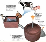 A imagem mostra um equipamento para reciclagem de dejetos fcil de construir. Biodigestor anaerbico  um equipamento usado para a produo de biogs, uma mistura de gases  principalmente metano - produzida por bactrias que digerem matria orgnica em condies anaerbicas (isto , em ausncia de oxignio). Um biodigestor nada mais  que um reator qumico em que as reaes qumicas tm origem biolgica. <br/><br/> Palavras-chave: Biodigestor. Biogs. Reator qumico. Reaes qumicas. Misturas.