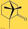 Representação da molécula da substância química conhecida como cânfora (C10H16O), uma substância branca, cristalina, com um forte odor característico. <br/><br/> Palavras-chave: Cânfora. Substância química. Molécula. 