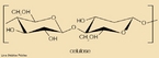 Celulose