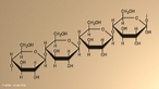 Representao da molcula de celulose.  A celulose (C6H10O5)n  um polmero de cadeia longa composto de um s monmero (glicose), classificado como polissacardeo ou carboidrato.  um dos principais constituintes das paredes celulares das plantas (cerca de 33% do peso da planta), em combinao com a lignina, com hemicelulose e pectina e no  digervel pelo homem, constituindo uma fibra diettica. Alguns animais, particularmente os ruminantes, podem digerir celulose com a ajuda de microrganismos simbiticos (veja metanognese). Foi primeiramente isolada e caracterizada pelo qumico francs Anselme Payen em 1838. <br/><br/> Palavras-chave: Celulose. Polmero. Glicose. Polissacardeo. Madeira.