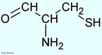 A cisteína é um aminácido, cujo nome tem origem na palavra grega kustis, significando "bexiga", pois foi isolada inicialmente a partir de cálculos renais (sob a forma de cistina). A cisteína possui um grupo tiol na sua cadeia lateral e é principalmente encontrado em proteínas e no tripéptido glutationa. Quando exposto ao ar, e sob determinadas condições fisiológicas (incluindo no interior de proteínas), a cisteína oxida-se formando cistina, composta por duas cisteínas unidas por uma ligação dissulfureto. Nome IUPAC: ácido (R)-2-amino-3-sulfanil-propanoico. Abreviatura (Cys). <br/><br/> Palavras-chave: Cisteína. Aminoácidos. Química orgânica. Bioquímica.