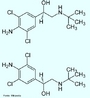 Clenbuterol é uma substância simpaticomimética que atua principalmente em receptores beta-adrenérgicos. É uma droga prescrita geralmente para tratamento de sintomas com comprometimento respiratório, como um descongestionante e broncodilatador. Fórmula molecular C12H18N2Cl2O. Massa molar 277,19 g/mol.  Nomenclatura IUPAC (sistemática) (RS)-1-(4-amino-3,5-dicloro-fenil)-2-(tri-butilamina)-etanol <br/><br/> Palavras-chave: Clenbuterol. Medicamentos. Química orgânica. Doping.