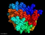 A eritropoietina ou EPO  um hormnio glicoproteico produzido nos seres humanos e nos animais pelos rins e fgado (em menor quantidade) que tem como funo principal regular a eritropoiese. O EPO  muito utilizado para o aumento do desempenho dos atletas, sobretudo nas modalidades de fundo, como o ciclismo, o atletismo ou esquio posto que aumenta o nvel de glbulos vermelhos no sangue, melhorando assim a troca de oxignio e elevando a resistncia ao exerccio fsico. <br/><br/> Palavras-chave: Eritropoietina. Hormnio. Qumica orgnica. Doping.