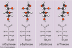 Representao de molculas em estereoisomerismo isomeria espacial ou estereoisomerismo os ismeros espaciais possuem a mesma frmula molecular e tambm a mesma frmula estrutural plana, diferenciando apenas nas frmulas estruturais espaciais. <br/><br/> Palavras-chave: Isomeria tica. Estereoismeros. Enantimeros. Diasteremeros. Qumica orgnica.