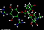 Representao tridimensional da molcula de Estreptomicina. Foi o primeiro agente especfico efetivo no tratamento da tuberculose. Foi tambm uns dos primeiros aminoglicosdeos descobertos.  um antibitico bactericida de pequeno espectro. Foi descoberta pela equipe liderada pelo bioqumico norte-americano Selman Abraham Waksman, 19 de outubro de 1943, a partir da actinobacteria Streptomyces griseus, revelando-se um antibitico relativamente incuo para o homem, com excelentes resultados na luta contra a tuberculose quando combinado com a quimioterapia. A sua descoberta valeu a Waksman o Prmio Nobel de Medicina, em 1952. Nomenclatura IUPAC:5-(2,4-diguanidino-3,5,6-trihydroxy-cyclohexoxy)- 4-[4,5-dihydroxy-6-(hydroxymethyl)-3-methylamino-tetrahydropyran-2-yl] oxy-3-hydroxy-2-methyl-tetrahydrofuran-3-carbaldehyde. Frmula Molecular: C21H39N7O12. Massa Molar: 581,574 g/mol. <br/><br/> Palavras-chave: Molculas. Estreptomicina. Substncias qumicas. Medicamentos. Drogas.