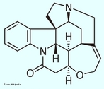A estricnina é um alcalóide cristalino muito tóxico. Foi muito usado como pesticida, pricipalmente para matar ratos. Porém, devido a sua alta toxicidade, não só em ratos, mas em vários animais (incluindo o homem), seu uso é proibido em muitos países. É praticamente insolúvel em água e pouco solúvel em solventes orgânicos. Estudos mostram que a DL50 oral em ratos varia entre 2,2 e 5,8 mg/kg em fêmeas e entre 6,4 e 14 mg/kg em machos. A fonte mais comum dessa substância é de sementes de árvores da espécie Nux vomica, nativa do Sri Lanka, Austrália e Índia. A estricnina é também uma das substâncias mais amargas que existem. Seu sabor é perceptível em concentrações da ordem de 1ppm. Fórmula molecular C21H22N2O. Massa molar 334,41 g/mol. <br/><br/> Palavras-chave: Estricnina. Medicamentos. Química orgânica. Doping.