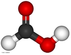 Molcula de cido frmico. O cido frmico ou oficialmente cido metanoico, CH2O2, massa molecular 46 u,  um cido monocarboxlico com frmula estrutural H - COOH.  o mais simples dos cidos orgnicos. O nome frmico tem sua origem do latim formica, que significa formiga, dado que a primeira vez que o cido foi isolado ocorreu por destilao do corpo de uma formiga. <br/><br/> Palavras-chave: cido frmico. Molcula. Funes qumicas.