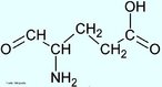 O ácido glutâmico ou glutamato é um aminoácido que possui um ácido carboxílico como grupo funcional na sua cadeia lateral.  Nome IUPAC: ácido (2S)-2-aminopentanedioico. Abreviatura (Glu). <br/><br/> Palavras-chave: Ácido glutâmico. Glutamato. Aminoácidos. Química orgânica. Bioquímica.