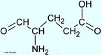cido glutmico (Glu)