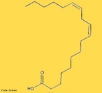 Representao da molcula de cido linoleico. O cido linoleico ou cido 9-12-octadecadienico  o cido graxo insaturado mega-6 com 18 carbonos e duas insaturaes, de frmula qumica CH3-(CH2)4-CH=CH-CH2-CH=CH-(CH2)7COOH.  um cido gordo essencial na dieta humana, sendo percursor do cido araquidnico. Consequentemente,  fulcral para a produo de uma srie de mediadores lipdicos, os eicosanoides, que so sintetizados atravs da via metablica da cascata do cido araquidnico. <br/><br/> Palavras-chave: cido linoleico. Funes qumicas.