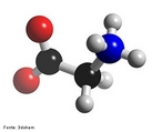 Representao em 3D de uma molcula de glicina que  um dos aminocidos codificados pelo cdigo gentico, sendo portanto um dos componentes das protenas dos seres vivos.  codificado pelos codes GGU, GGC, GGA e GGG. A glicina  o nico aminocido que no apresenta atividade ptica. <br/><br/> Palavras-chave: Glicina. Aminocido. Bioqumica.